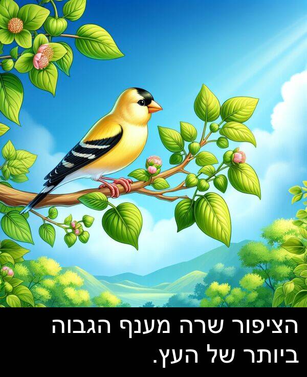 מענף: הציפור שרה מענף הגבוה ביותר של העץ.