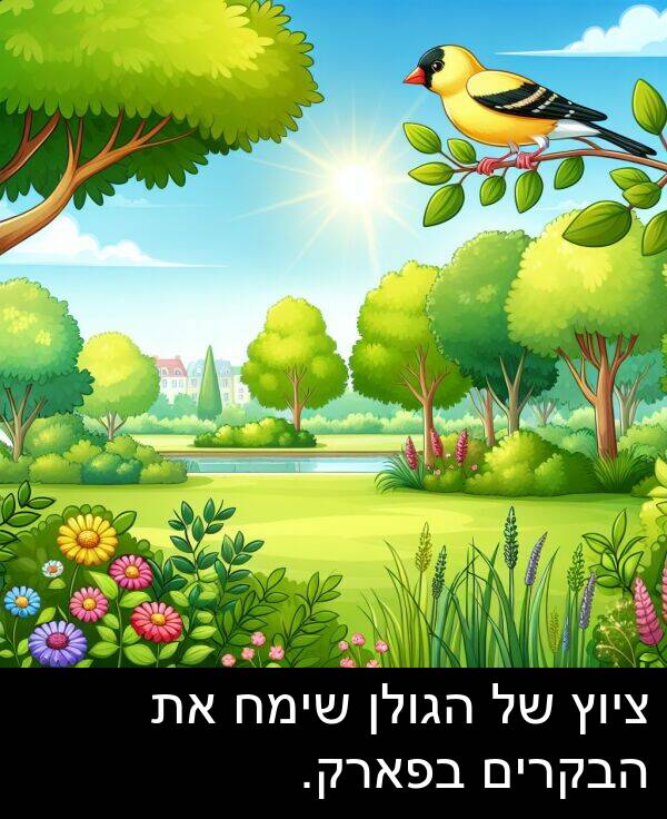 ציוץ: ציוץ של הגולן שימח את הבקרים בפארק.