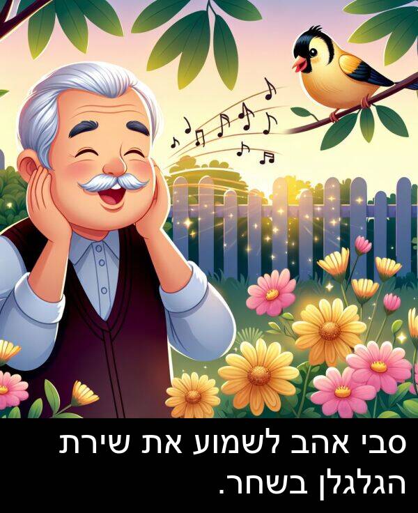 אהב: סבי אהב לשמוע את שירת הגלגלן בשחר.