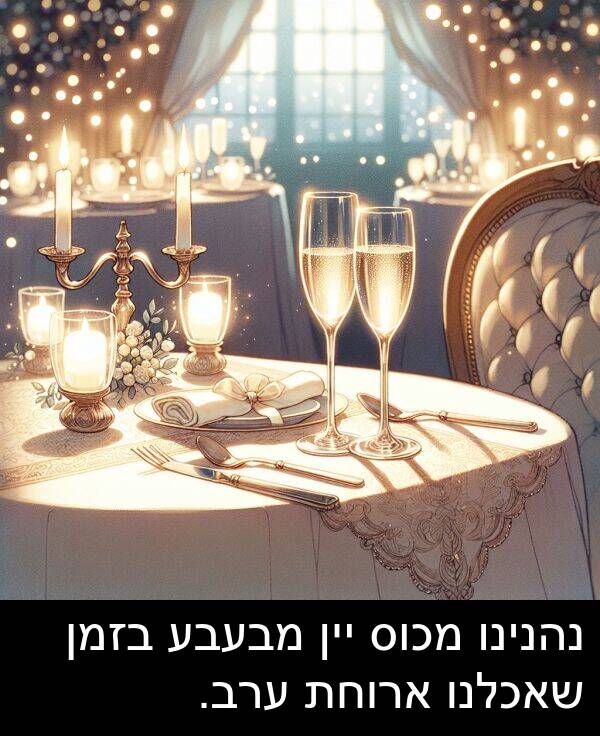 מבעבע: נהנינו מכוס יין מבעבע בזמן שאכלנו ארוחת ערב.