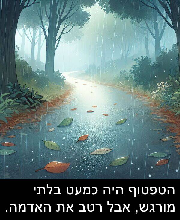 אבל: הטפטוף היה כמעט בלתי מורגש, אבל רטב את האדמה.