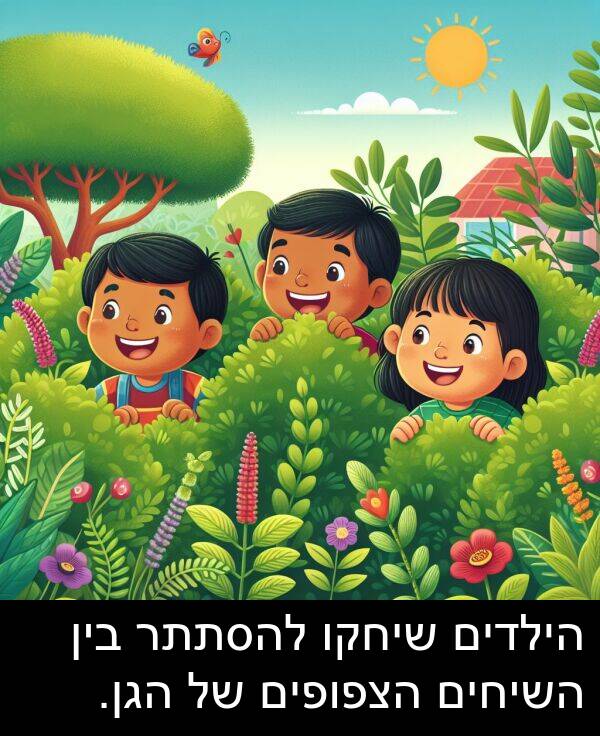 הצפופים: הילדים שיחקו להסתתר בין השיחים הצפופים של הגן.