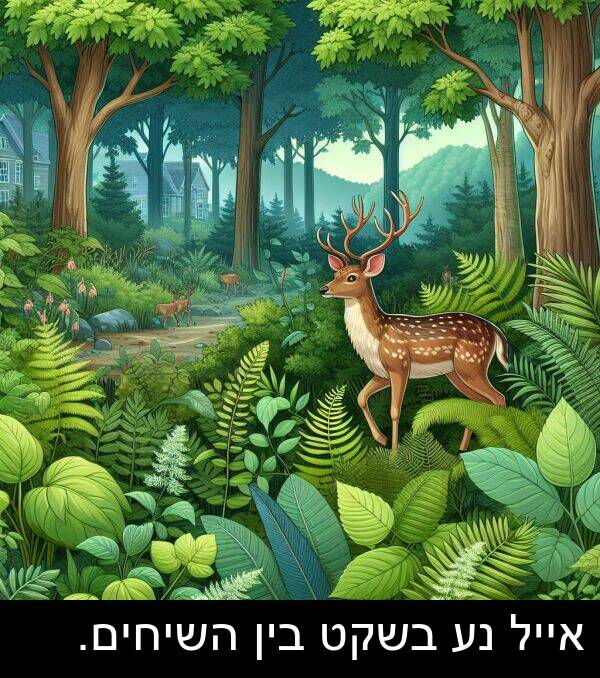אייל: אייל נע בשקט בין השיחים.