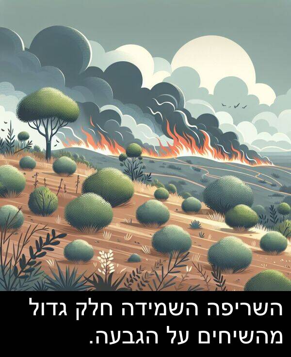 חלק: השריפה השמידה חלק גדול מהשיחים על הגבעה.
