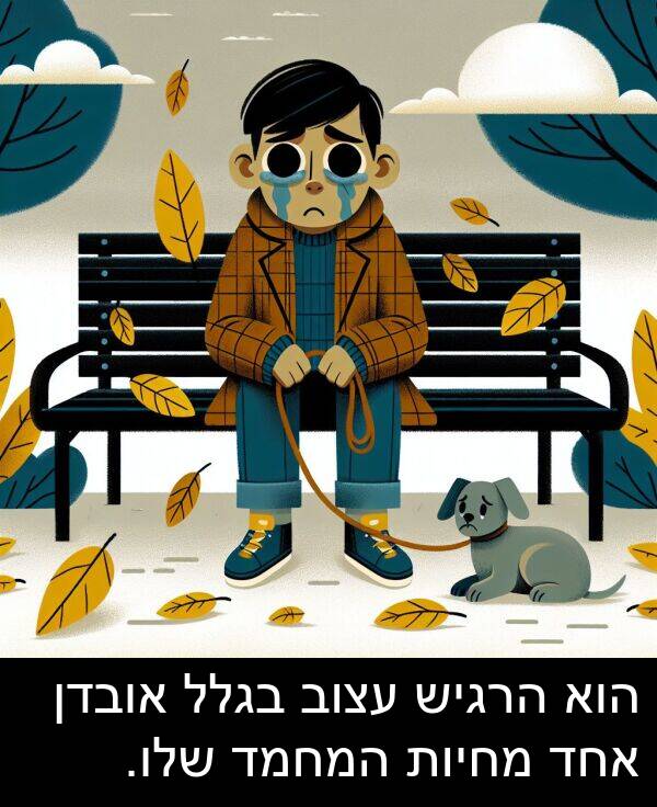בגלל: הוא הרגיש עצוב בגלל אובדן אחד מחיות המחמד שלו.