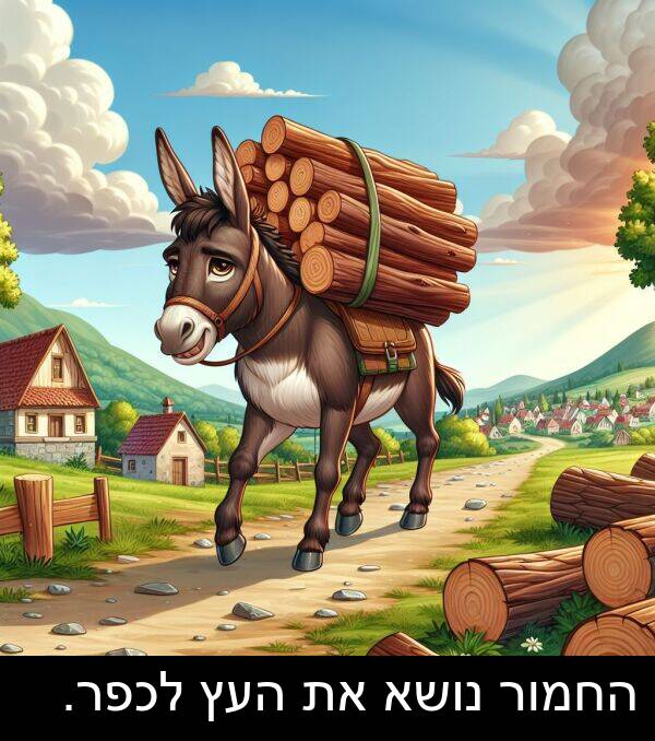 נושא: החמור נושא את העץ לכפר.