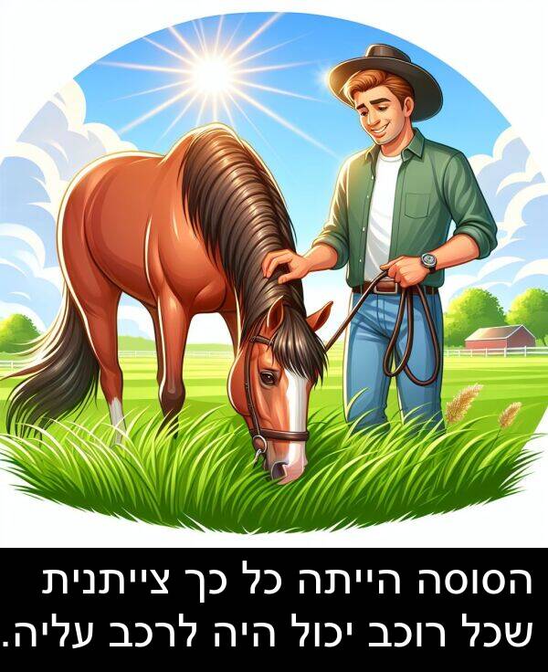צייתנית: הסוסה הייתה כל כך צייתנית שכל רוכב יכול היה לרכב עליה.