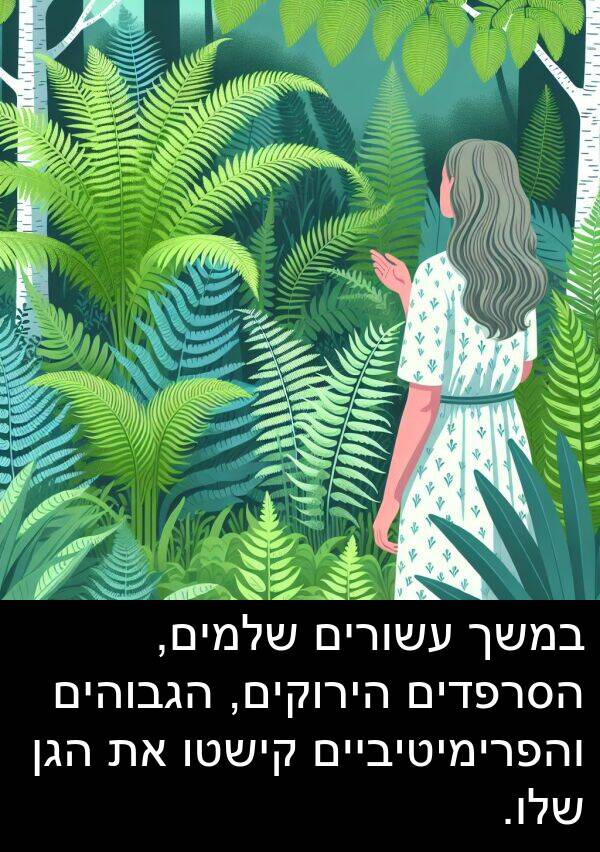 עשורים: במשך עשורים שלמים, הסרפדים הירוקים, הגבוהים והפרימיטיביים קישטו את הגן שלו.