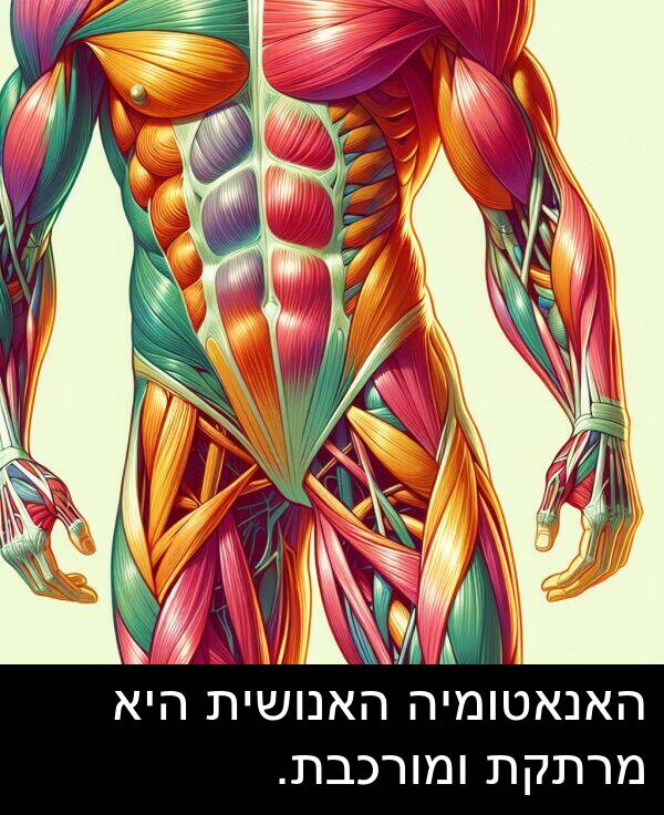 מרתקת: האנאטומיה האנושית היא מרתקת ומורכבת.