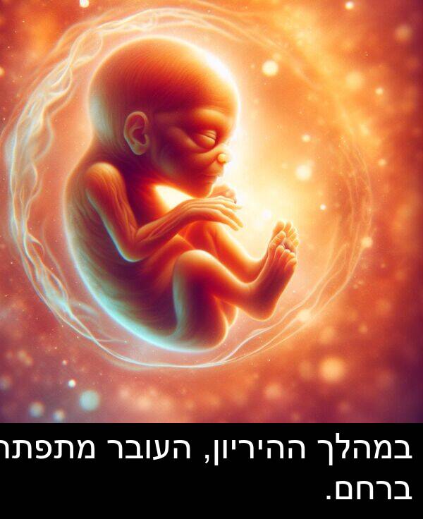 ההיריון: במהלך ההיריון, העובר מתפתח ברחם.