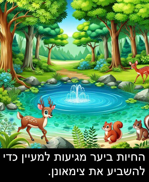 צימאונן: החיות ביער מגיעות למעיין כדי להשביע את צימאונן.
