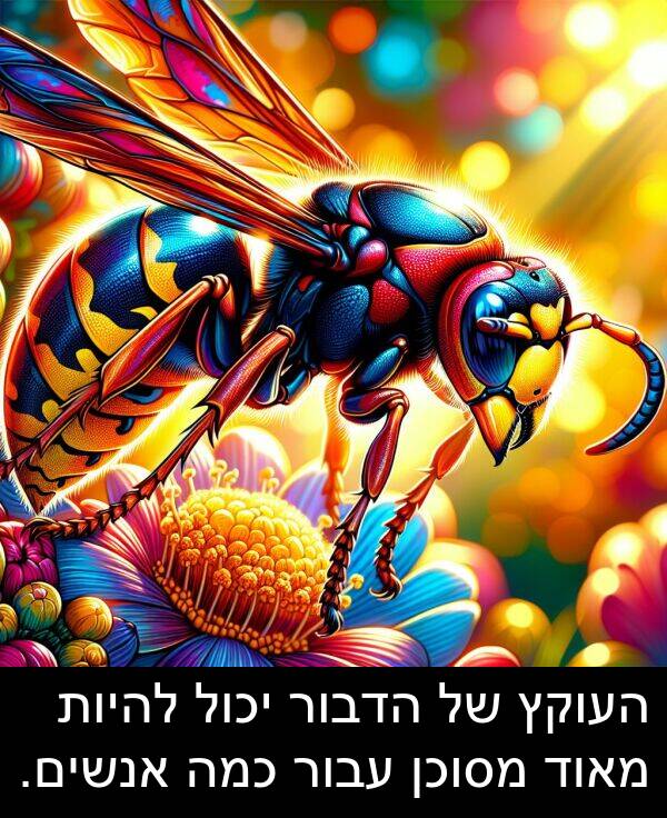 עבור: העוקץ של הדבור יכול להיות מאוד מסוכן עבור כמה אנשים.