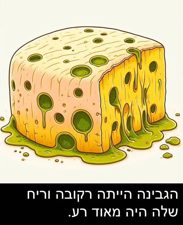 רקובה: הגבינה הייתה רקובה וריח שלה היה מאוד רע.