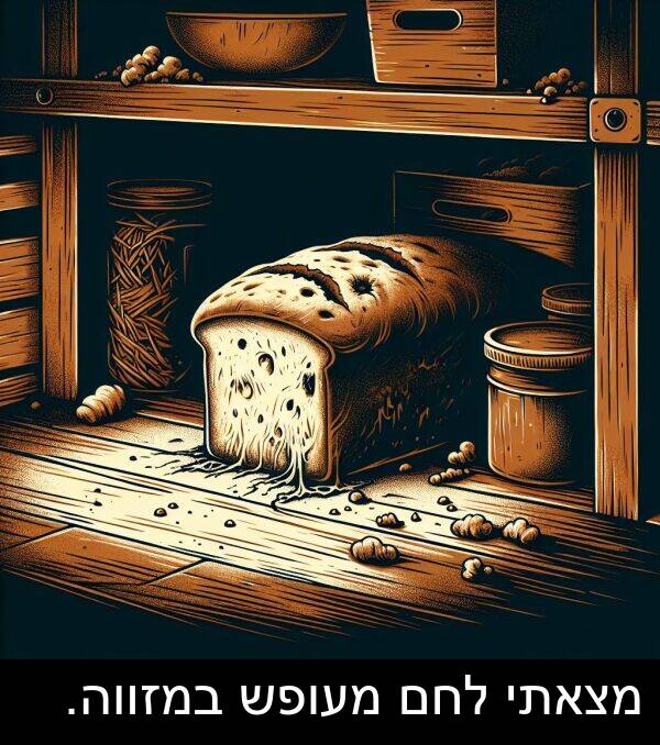 מצאתי: מצאתי לחם מעופש במזווה.
