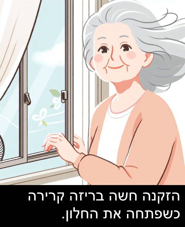 קרירה: הזקנה חשה בריזה קרירה כשפתחה את החלון.
