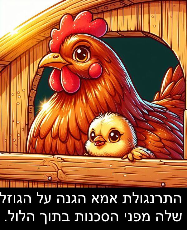 מפני: התרנגולת אמא הגנה על הגוזל שלה מפני הסכנות בתוך הלול.