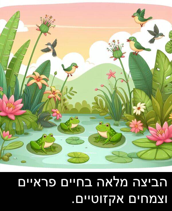 פראיים: הביצה מלאה בחיים פראיים וצמחים אקזוטיים.