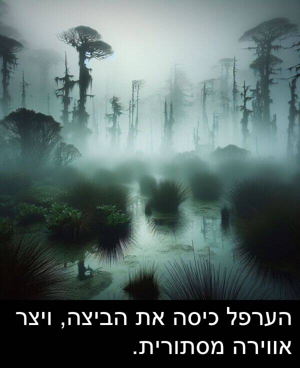 הערפל: הערפל כיסה את הביצה, ויצר אווירה מסתורית.