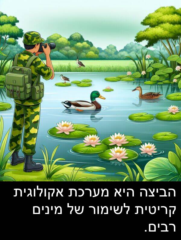 קריטית: הביצה היא מערכת אקולוגית קריטית לשימור של מינים רבים.