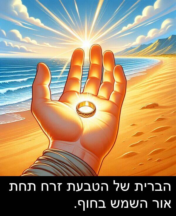 זרח: הברית של הטבעת זרח תחת אור השמש בחוף.