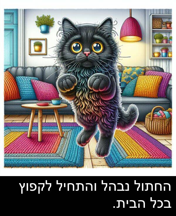 נבהל: החתול נבהל והתחיל לקפוץ בכל הבית.