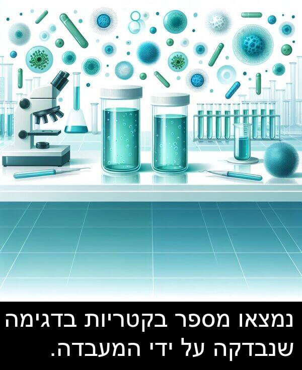 בדגימה: נמצאו מספר בקטריות בדגימה שנבדקה על ידי המעבדה.