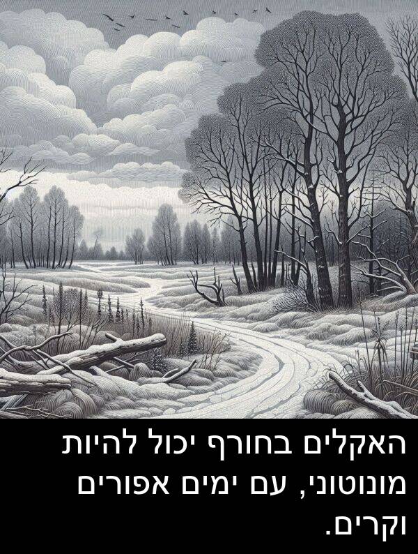 אפורים: האקלים בחורף יכול להיות מונוטוני, עם ימים אפורים וקרים.