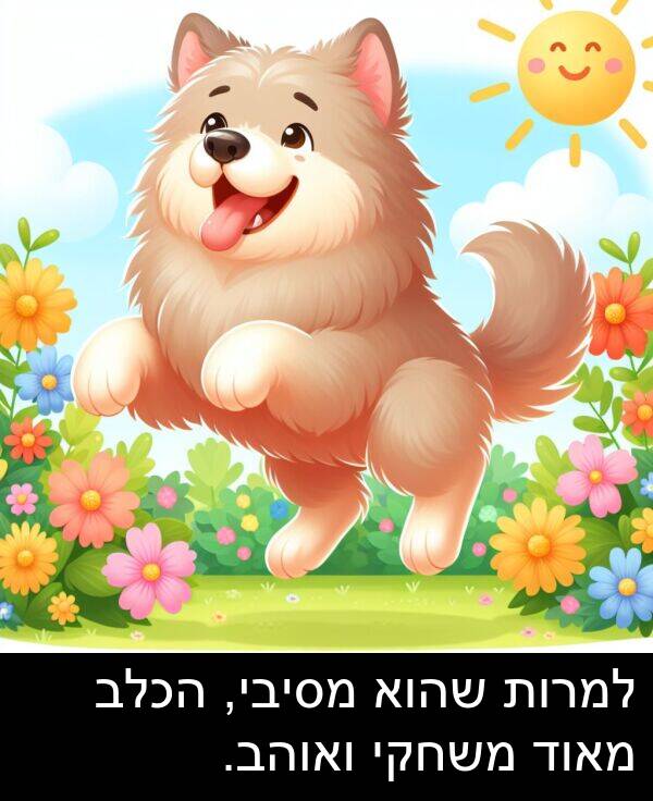 משחקי: למרות שהוא מסיבי, הכלב מאוד משחקי ואוהב.