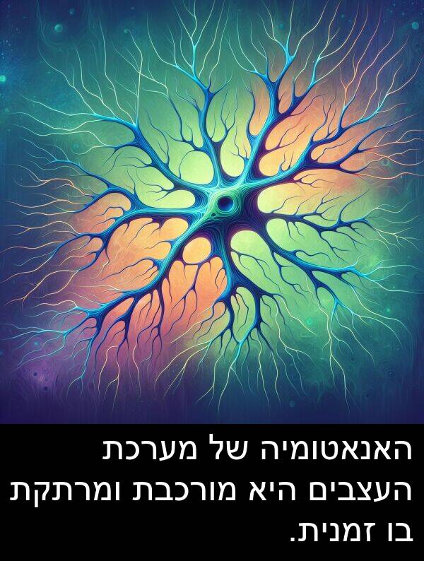 זמנית: האנאטומיה של מערכת העצבים היא מורכבת ומרתקת בו זמנית.