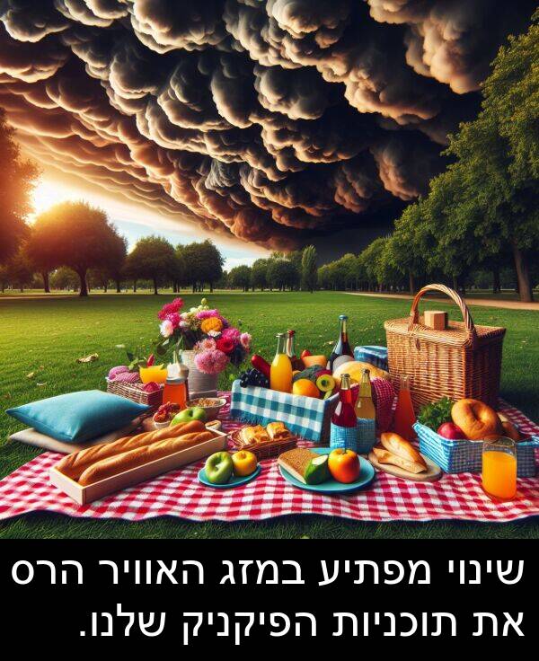 תוכניות: שינוי מפתיע במזג האוויר הרס את תוכניות הפיקניק שלנו.