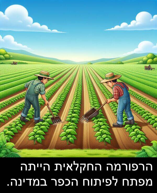 מפתח: הרפורמה החקלאית הייתה מפתח לפיתוח הכפר במדינה.