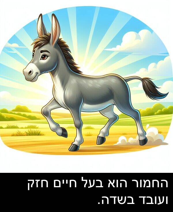 חיים: החמור הוא בעל חיים חזק ועובד בשדה.