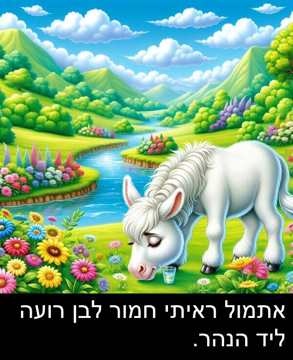 רועה: אתמול ראיתי חמור לבן רועה ליד הנהר.