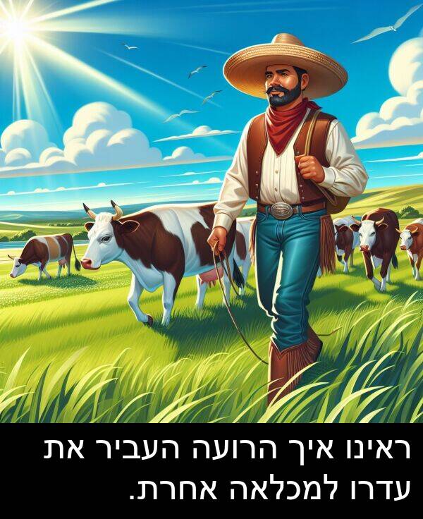 אחרת: ראינו איך הרועה העביר את עדרו למכלאה אחרת.