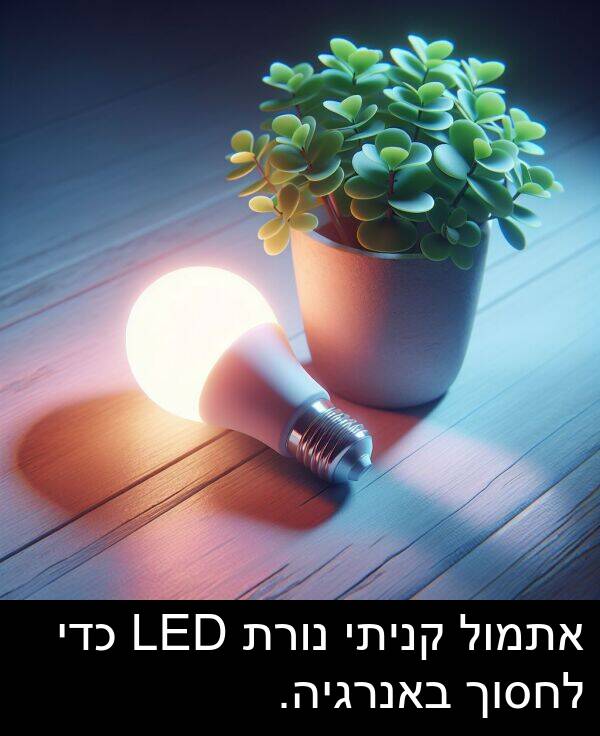 באנרגיה: אתמול קניתי נורת LED כדי לחסוך באנרגיה.