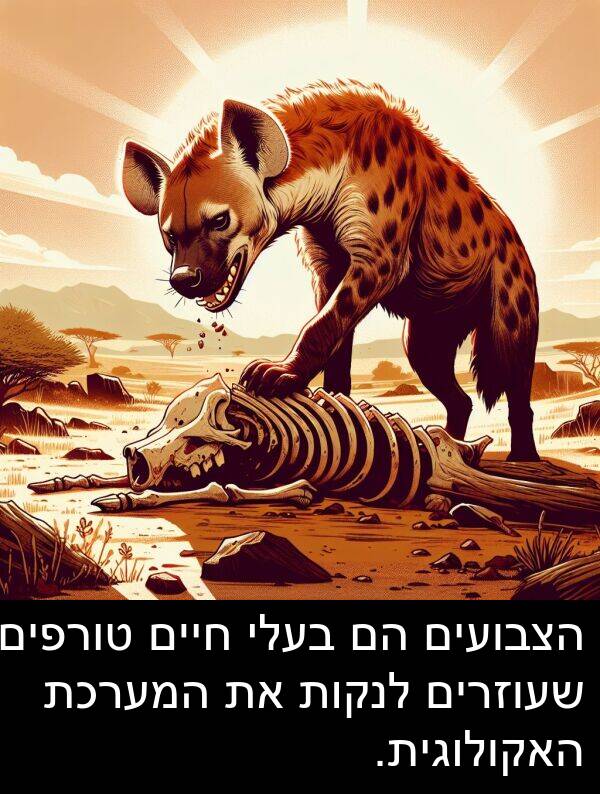 טורפים: הצבועים הם בעלי חיים טורפים שעוזרים לנקות את המערכת האקולוגית.