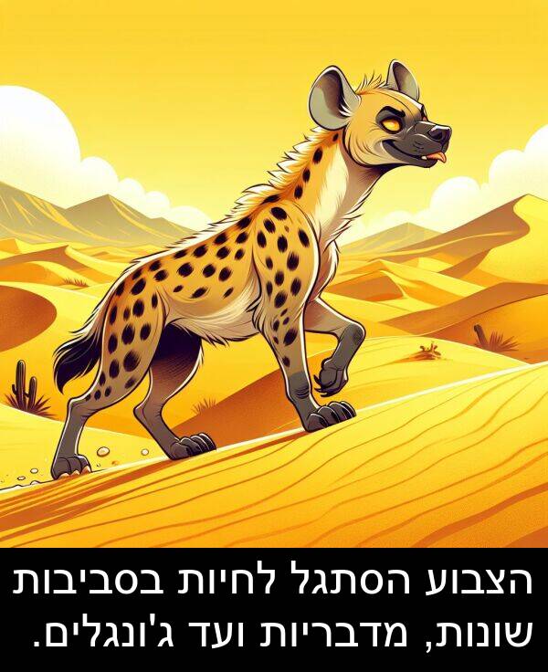 הצבוע: הצבוע הסתגל לחיות בסביבות שונות, מדבריות ועד ג'ונגלים.