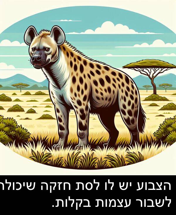 עצמות: הצבוע יש לו לסת חזקה שיכולה לשבור עצמות בקלות.
