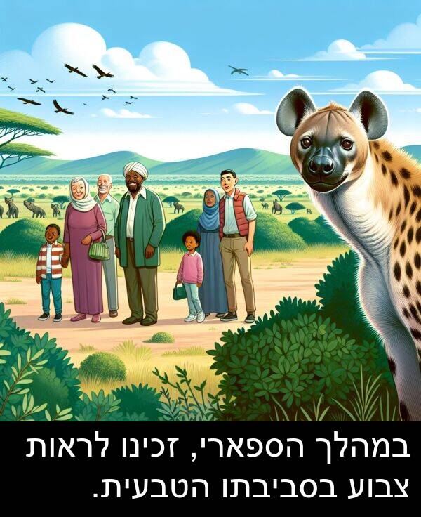 זכינו: במהלך הספארי, זכינו לראות צבוע בסביבתו הטבעית.