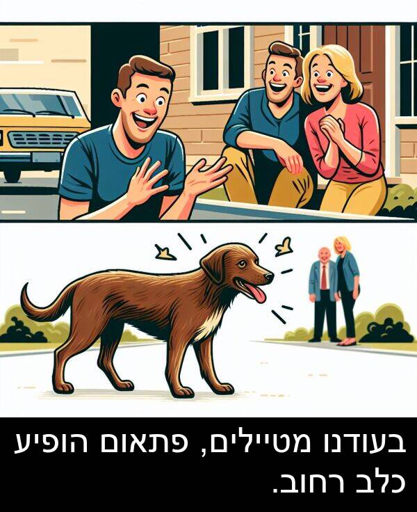 פתאום: בעודנו מטיילים, פתאום הופיע כלב רחוב.