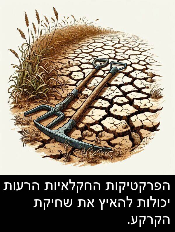 יכולות: הפרקטיקות החקלאיות הרעות יכולות להאיץ את שחיקת הקרקע.