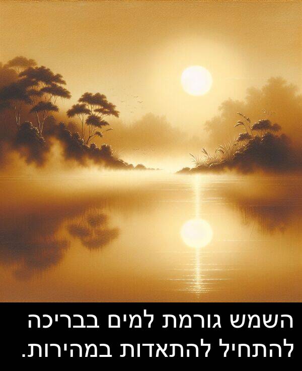 בבריכה: השמש גורמת למים בבריכה להתחיל להתאדות במהירות.