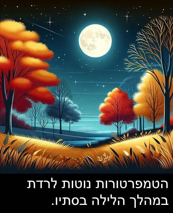 נוטות: הטמפרטורות נוטות לרדת במהלך הלילה בסתיו.