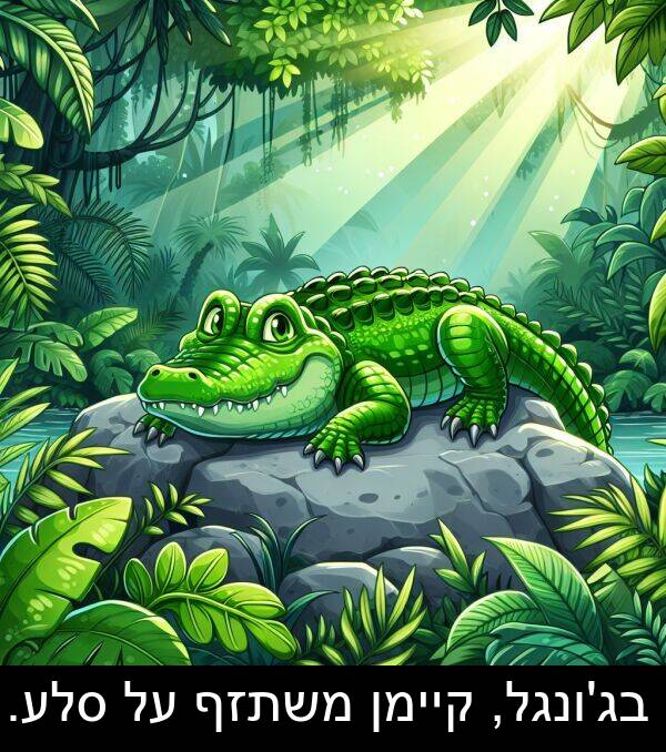 קיימן: בג'ונגל, קיימן משתזף על סלע.