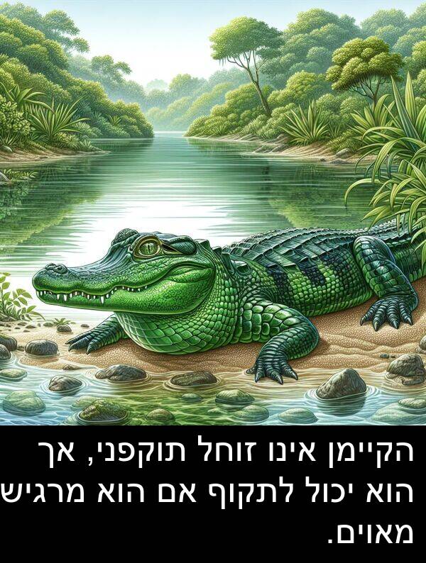 מאוים: הקיימן אינו זוחל תוקפני, אך הוא יכול לתקוף אם הוא מרגיש מאוים.