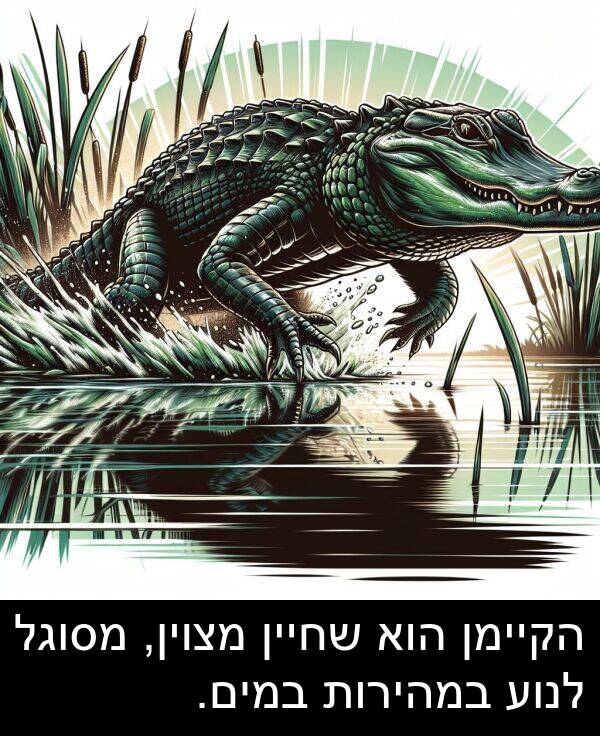 מצוין: הקיימן הוא שחיין מצוין, מסוגל לנוע במהירות במים.