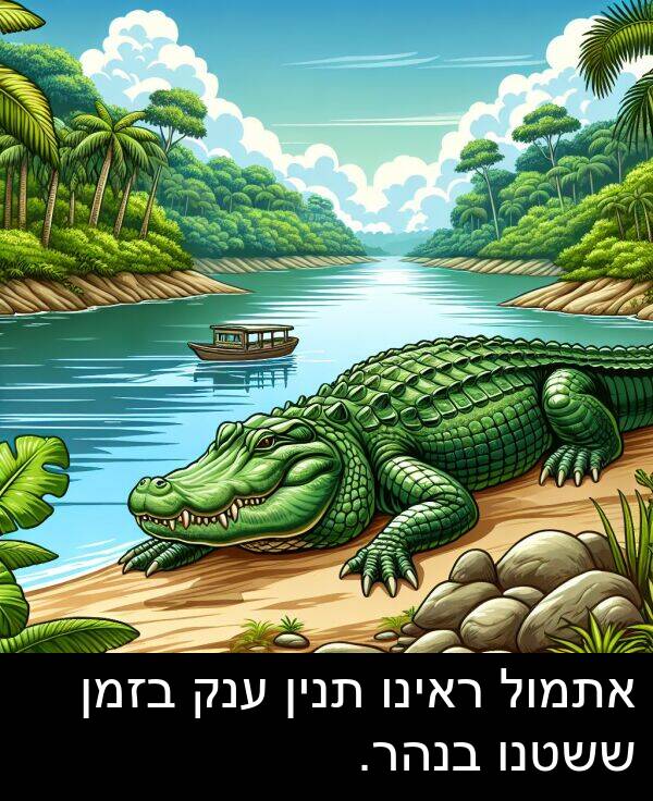ענק: אתמול ראינו תנין ענק בזמן ששטנו בנהר.