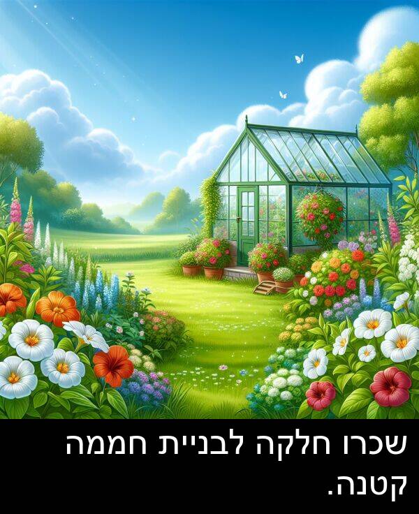 קטנה: שכרו חלקה לבניית חממה קטנה.