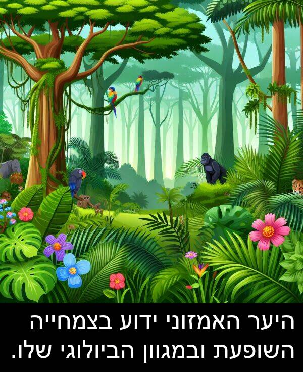 ידוע: היער האמזוני ידוע בצמחייה השופעת ובמגוון הביולוגי שלו.