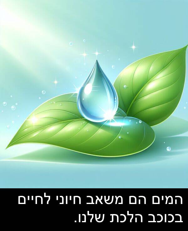 משאב: המים הם משאב חיוני לחיים בכוכב הלכת שלנו.